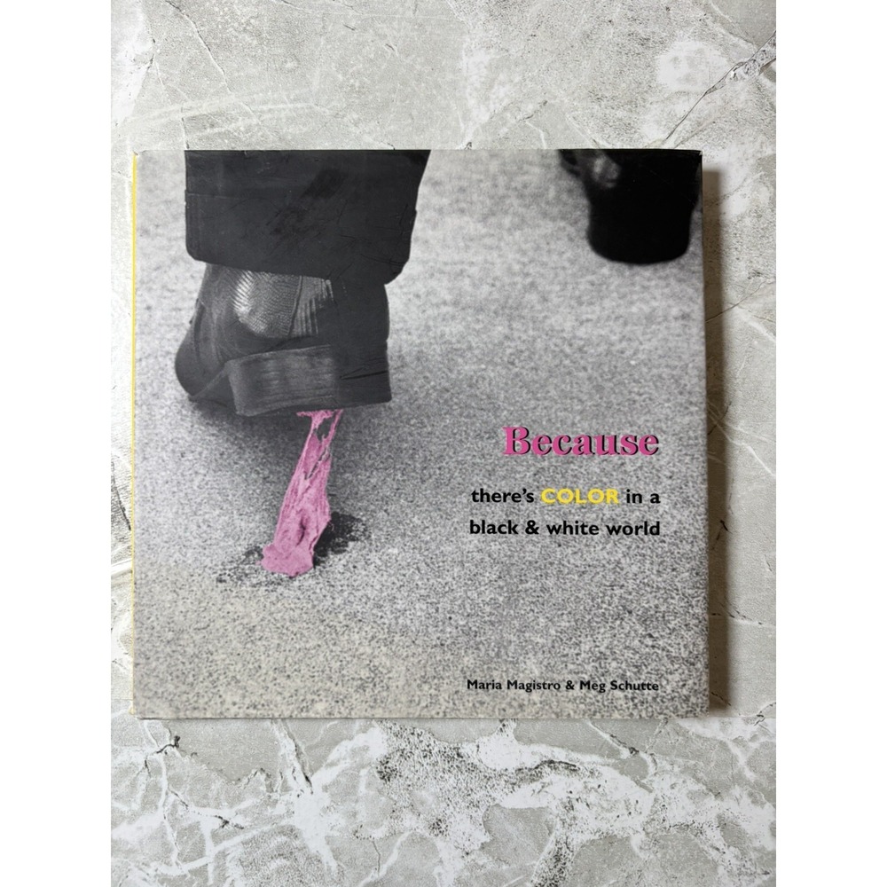 Because There's Color in a Black and White World by Meg Schutte Maria Magistro